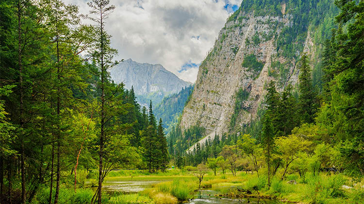 Environment